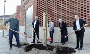 Mehr über den Artikel erfahren Zwei Bäume für unseren Neubau