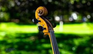 Mehr über den Artikel erfahren Sommermusik am 04. Juli 25 ab 19.00 Uhr im Kirchengarten